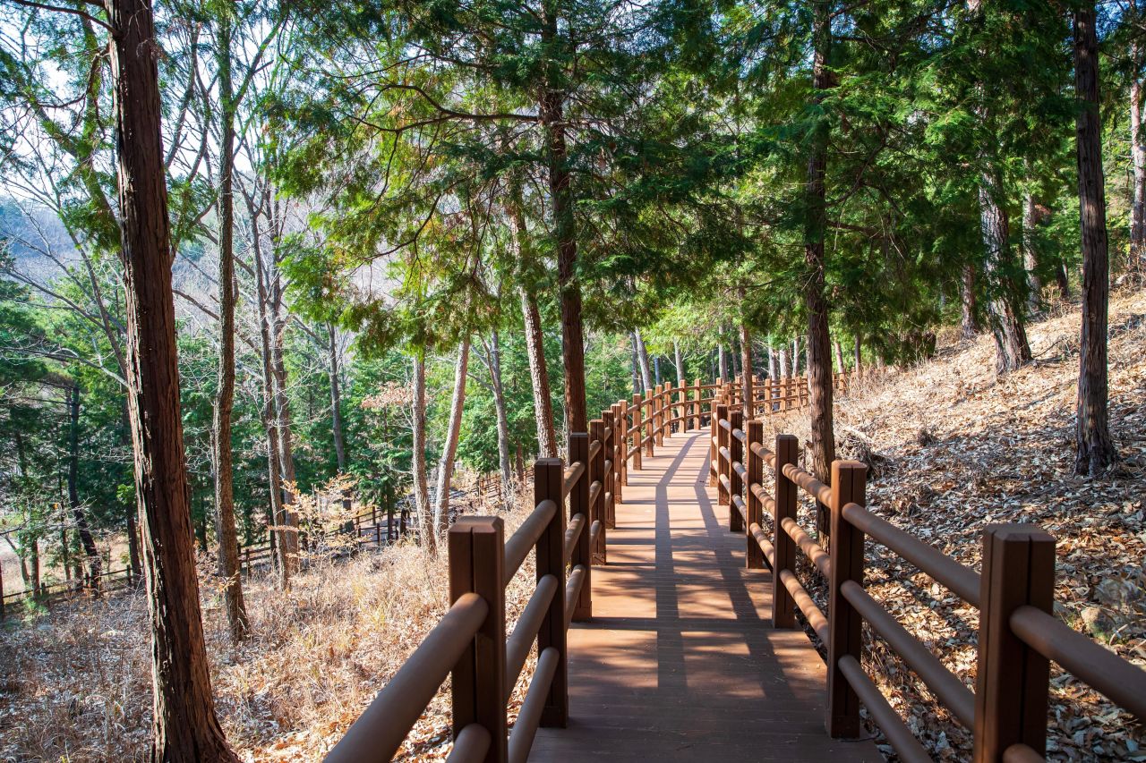울산수목원 관광사진