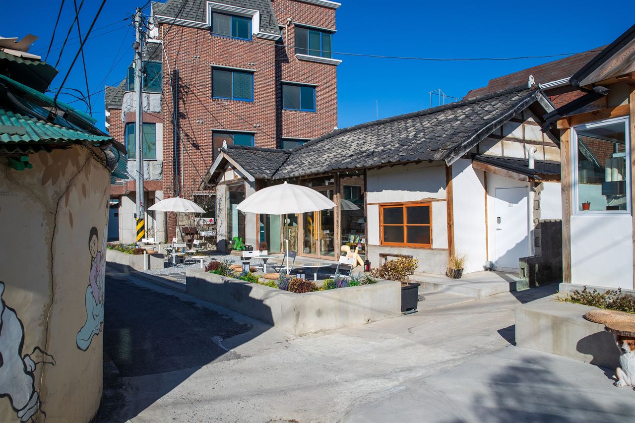강릉 명주동 거리