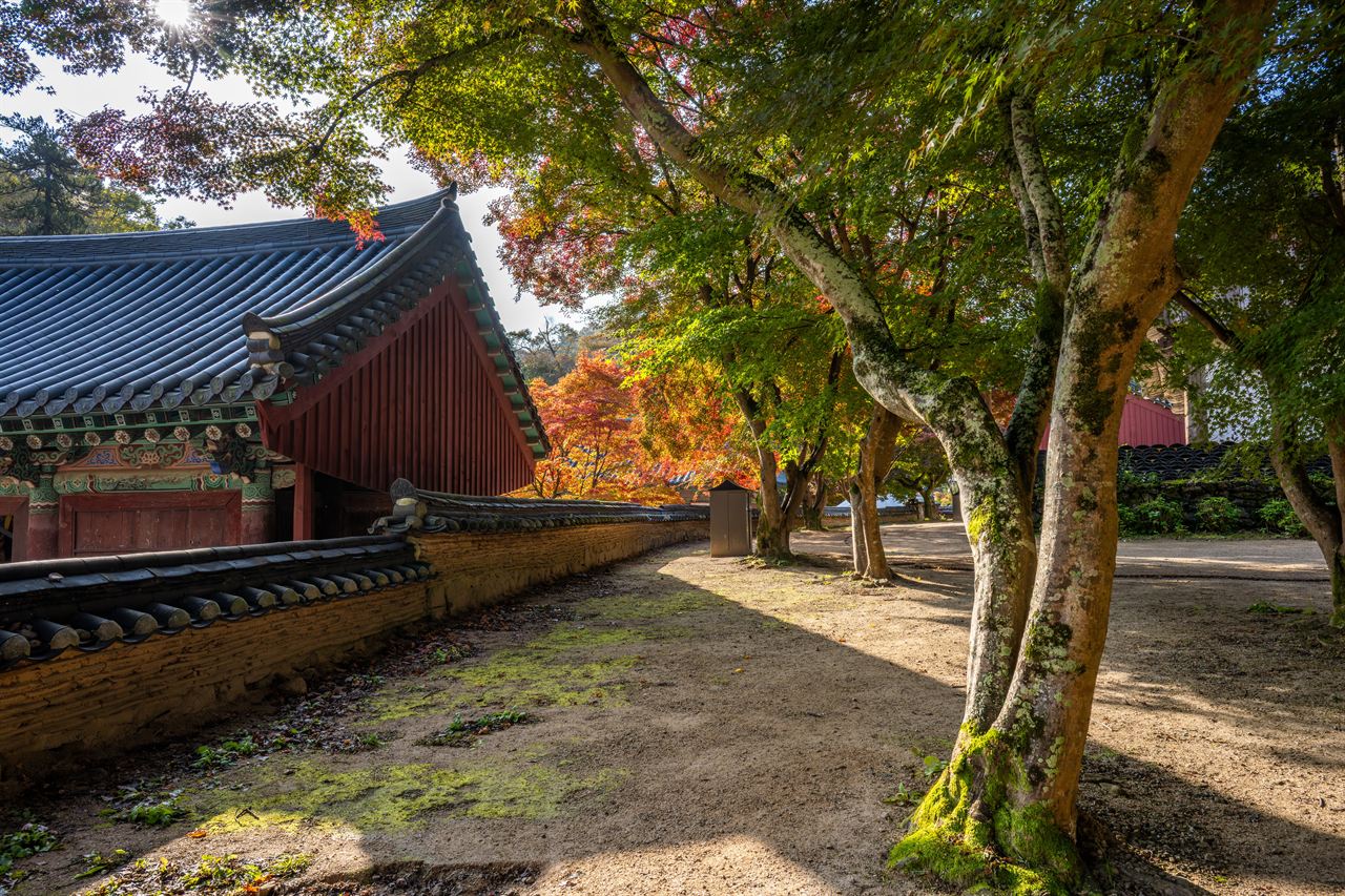 공주 마곡사
