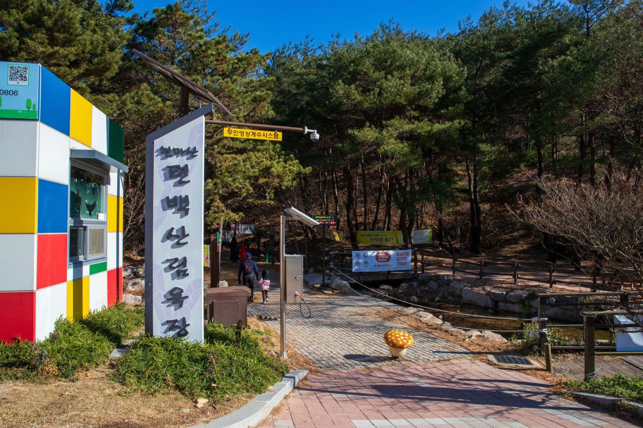 천마산 편백산림욕장 관광사진
