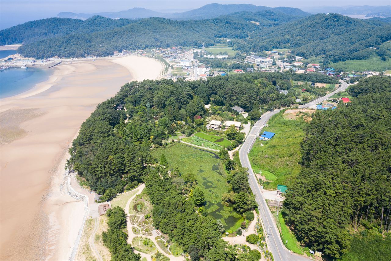 천리포수목원