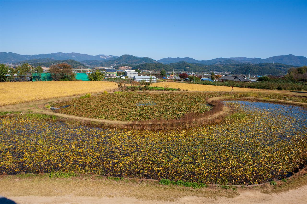 청도읍성