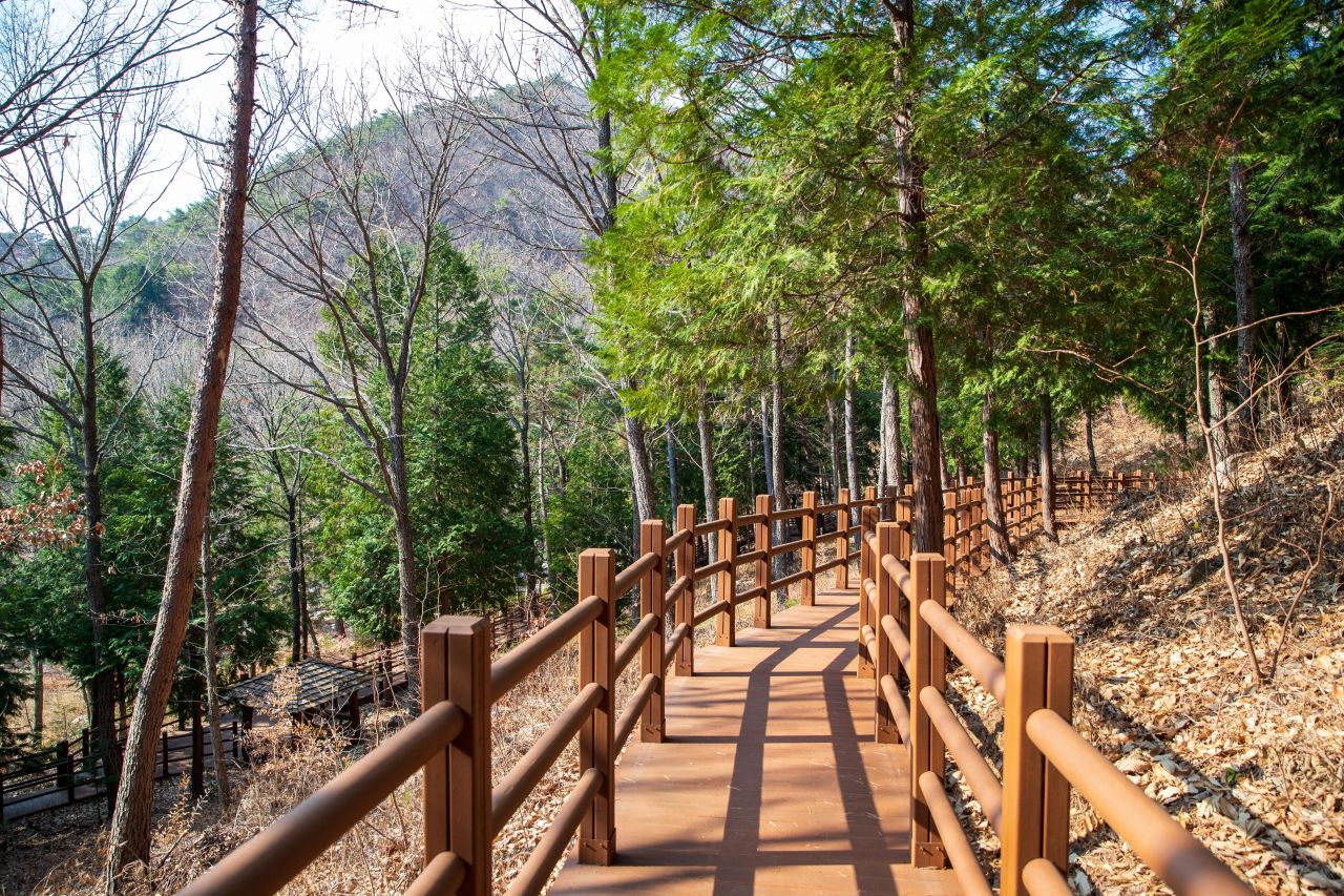 울산수목원 관광사진