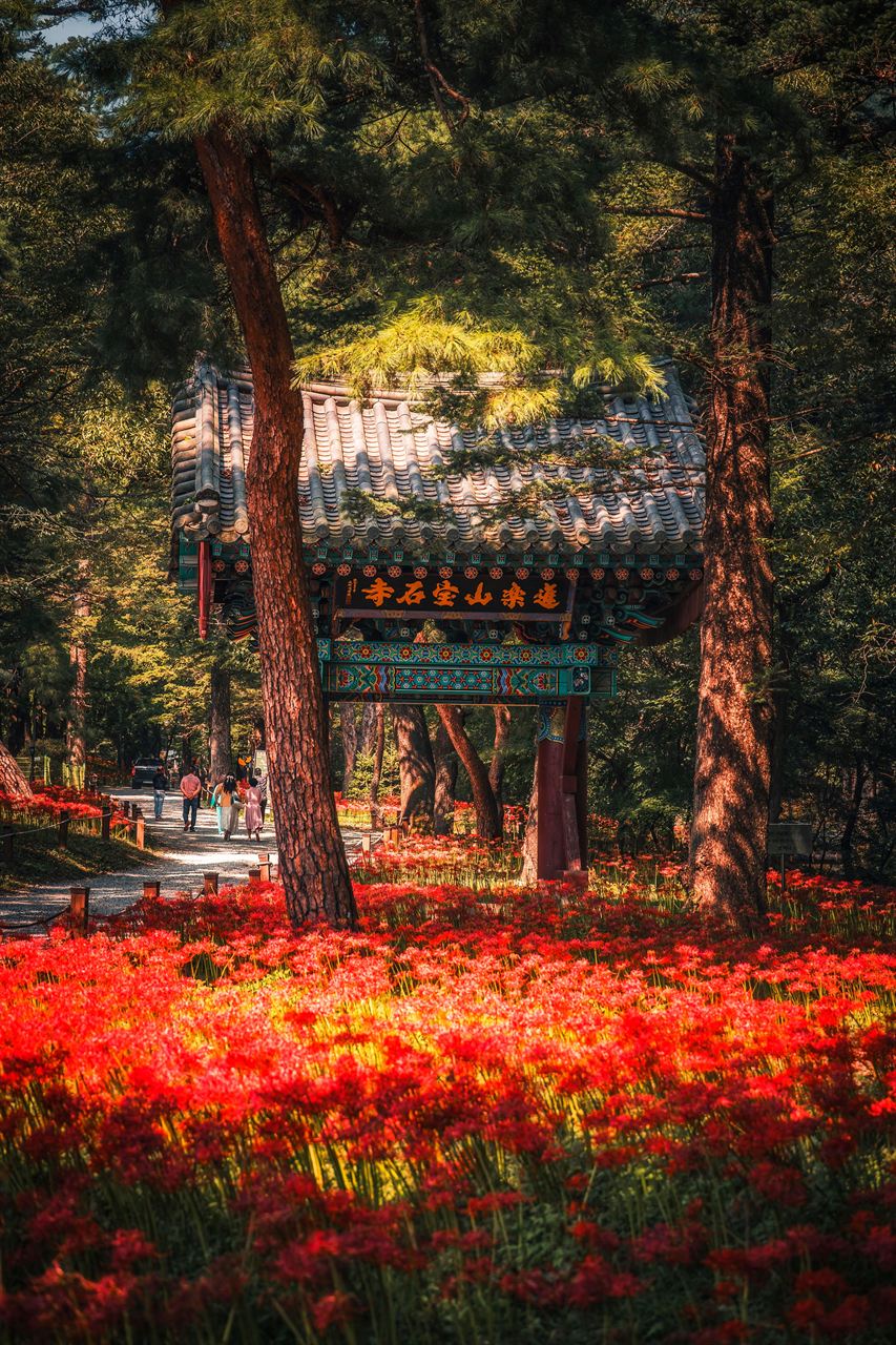 금산 보석사