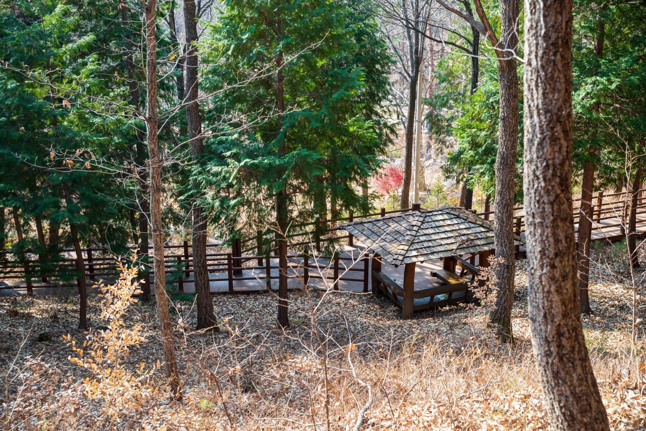 울산수목원 관광사진