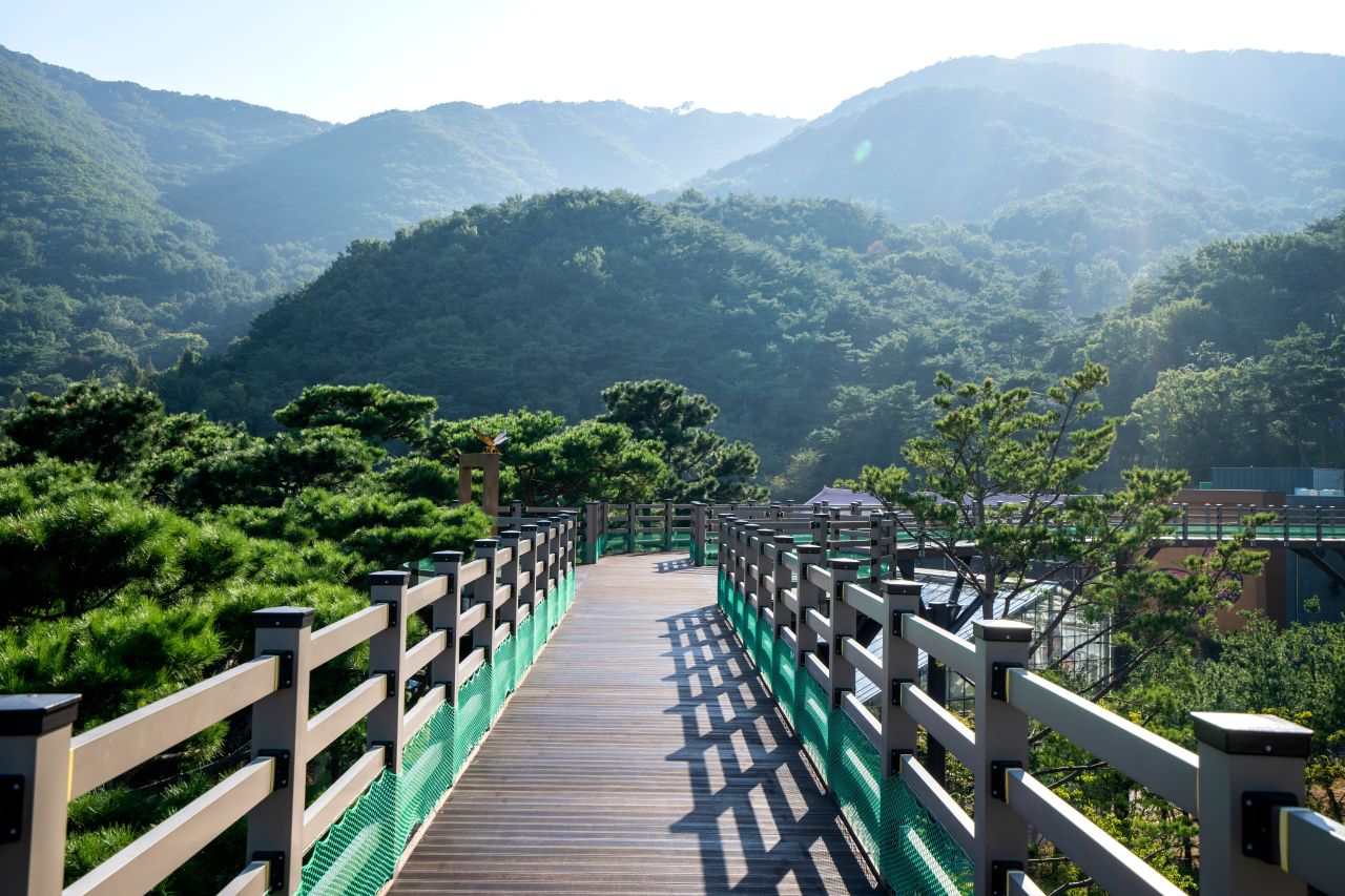 봉수산 수목원