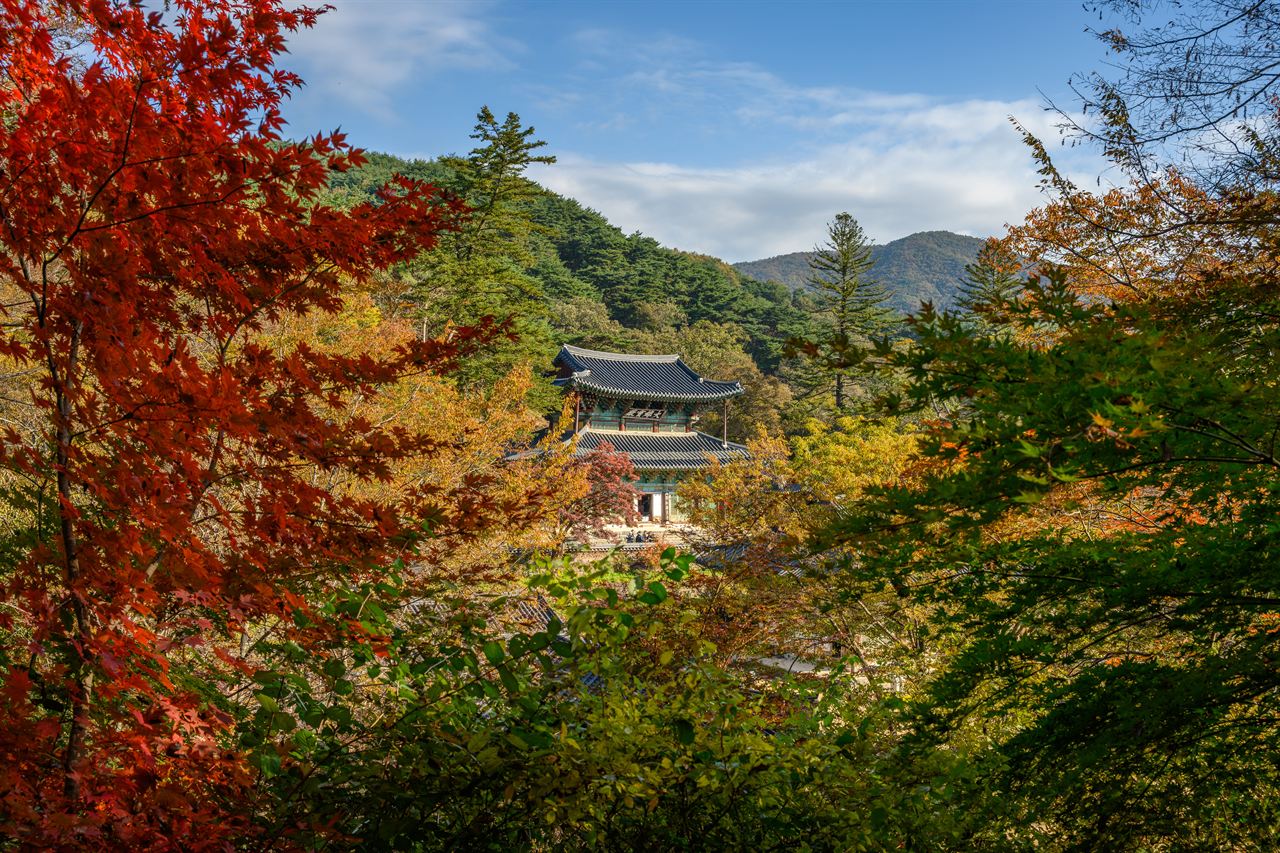 공주 마곡사