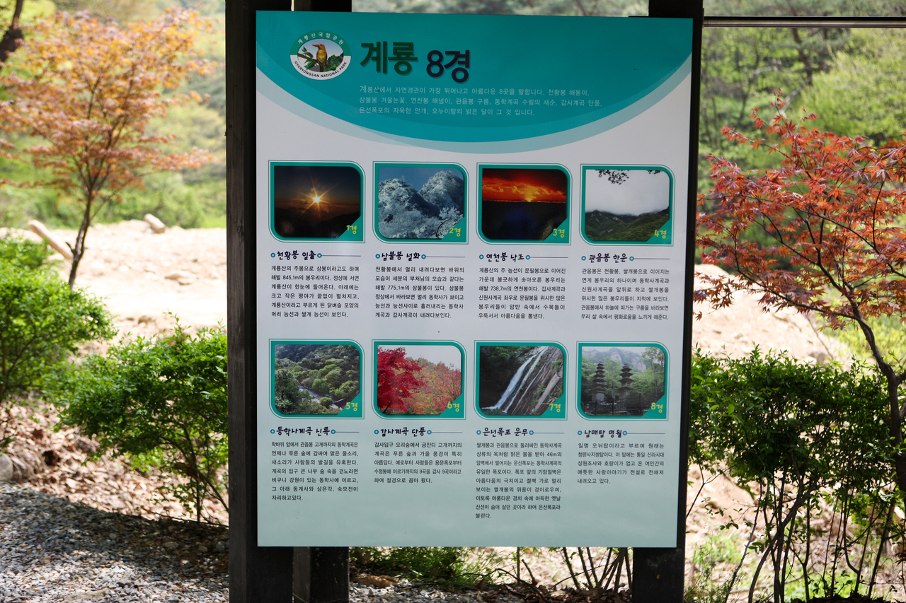 동학사