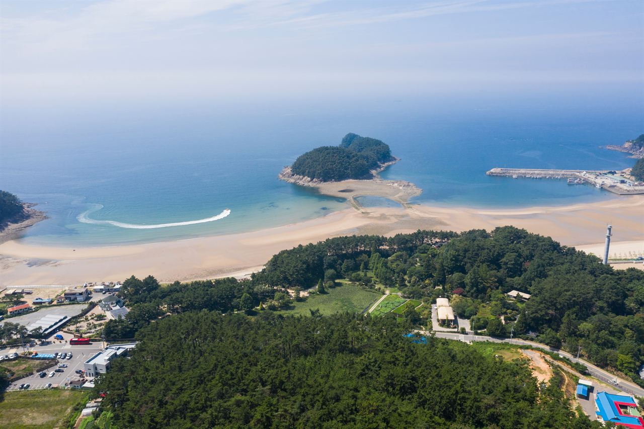 천리포수목원