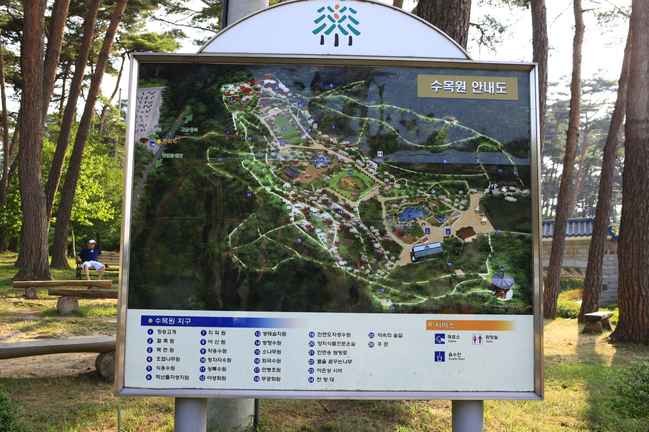 안면도자연휴양림 representative photograph