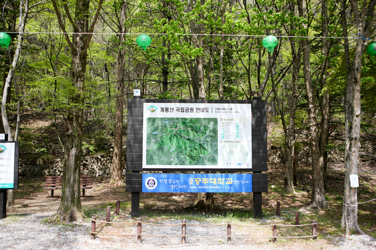 동학사