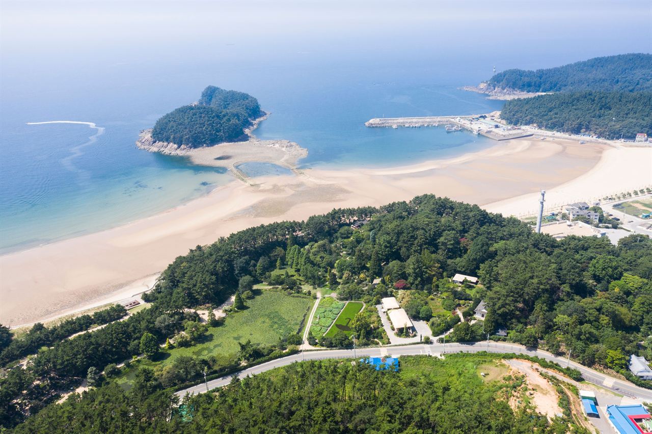 천리포수목원