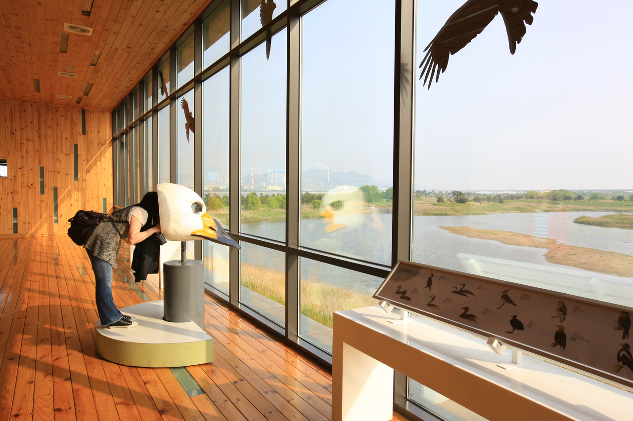 Nakdong riverside edge
