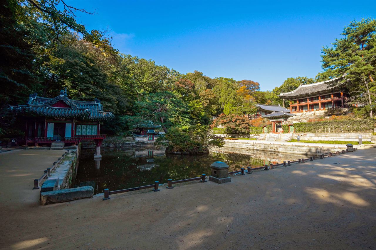 창덕궁 부용정