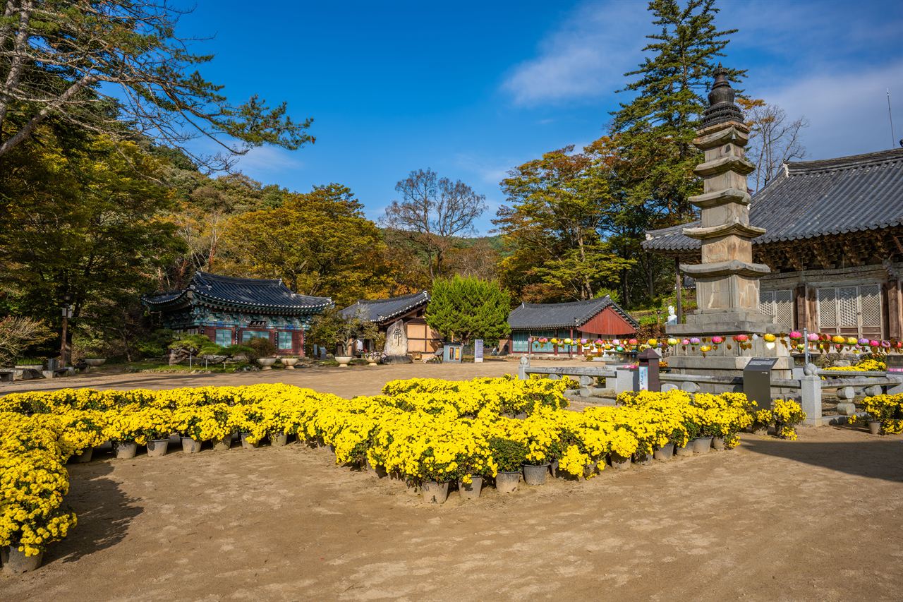 공주 마곡사