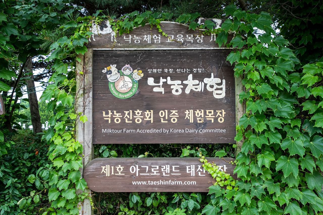아그로랜드 태신목장