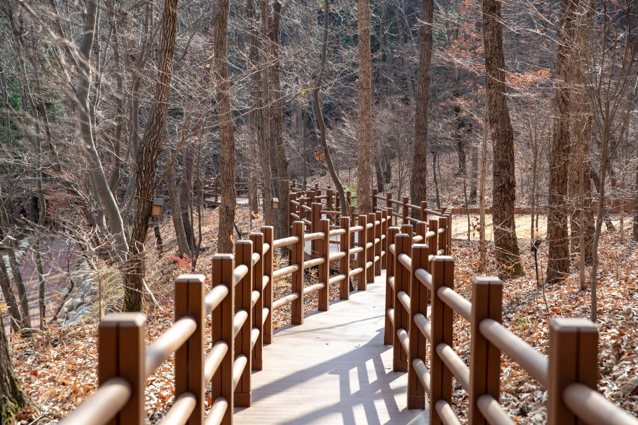 울산수목원 관광사진