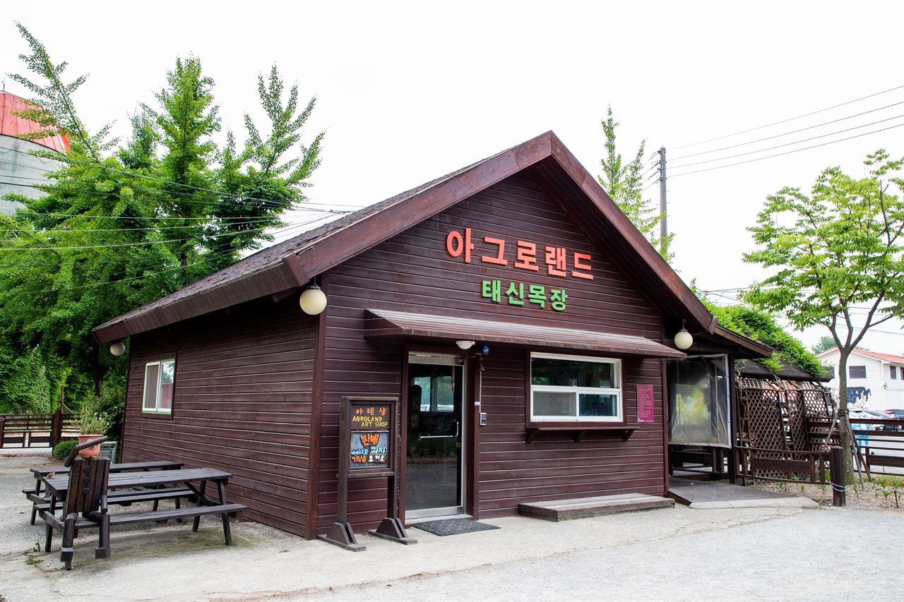 아그로랜드 태신목장