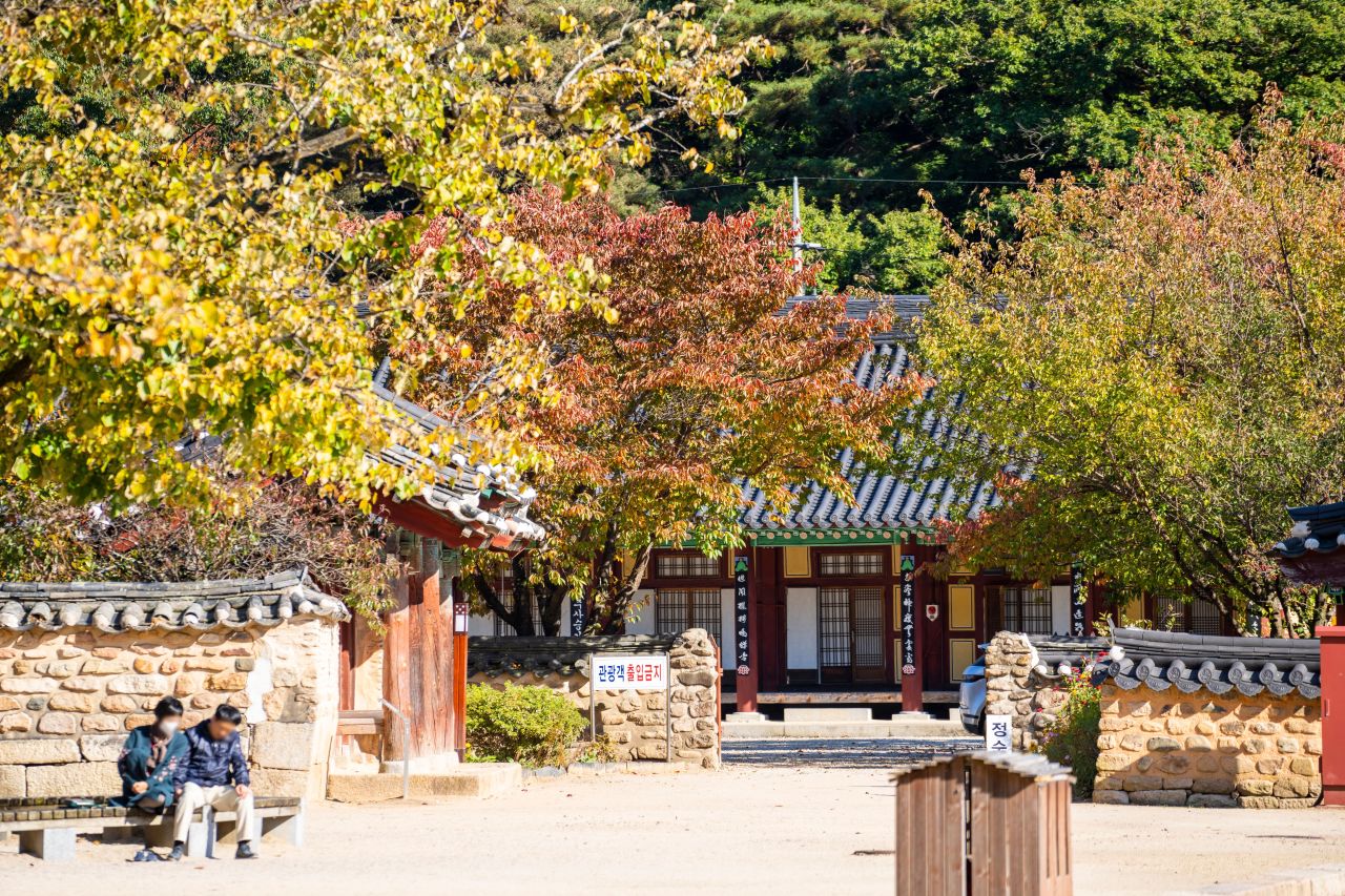 보은 법주사 관광사진