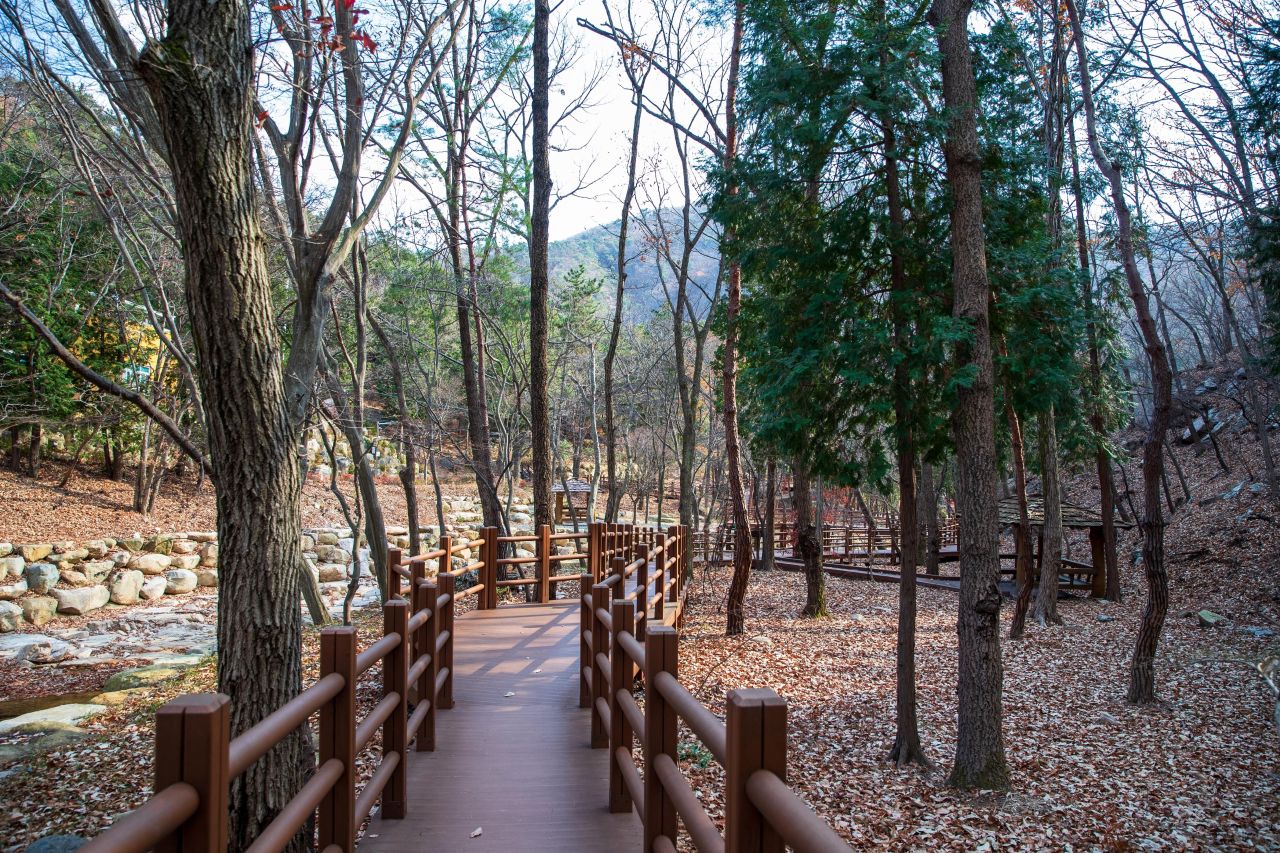 울산수목원 관광사진