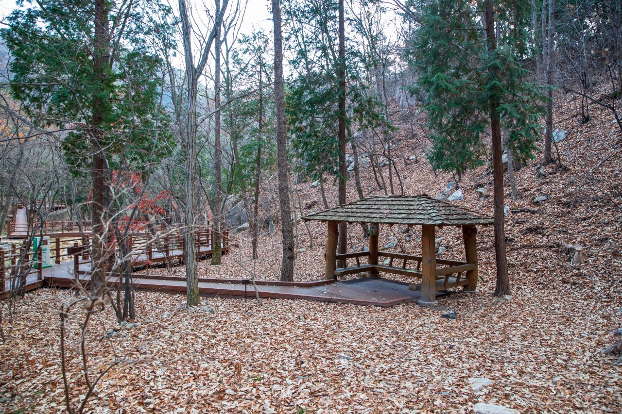 울산수목원 관광사진