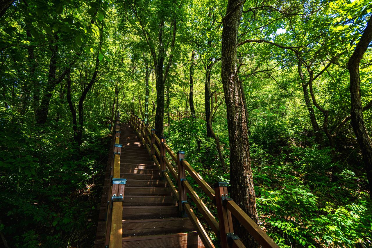 봉명산 출렁다리