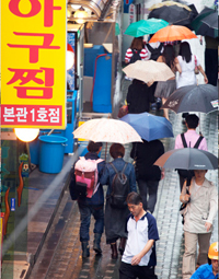 낙원동 아구찜골목 풍경2
